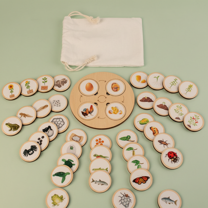 Life Cycle Toy - Sage Green Lifestyle